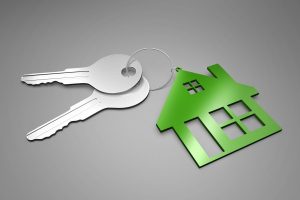 sliver keys on Green House Keyring